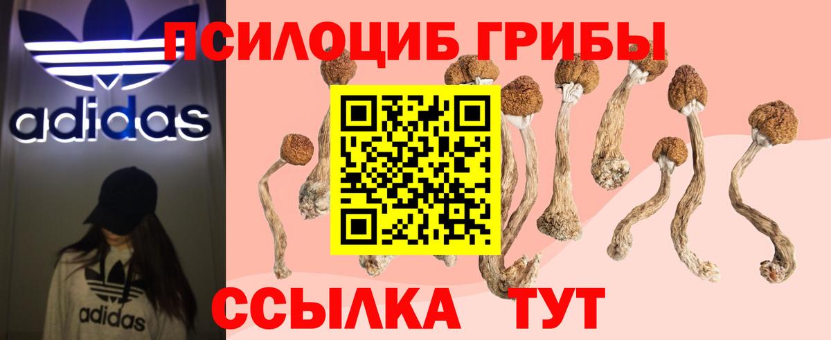 Галлюциногенные грибы Cubensis  Вход с VPN  Надым  Псилоцибиновые грибы Cubensis 